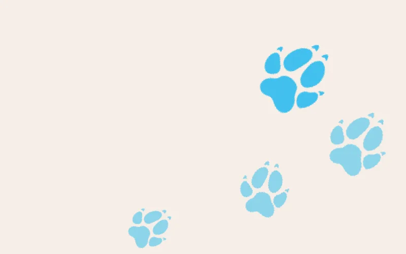 Ilustración de huellas de perro para el cuento Un héroe con chaqueta de piel